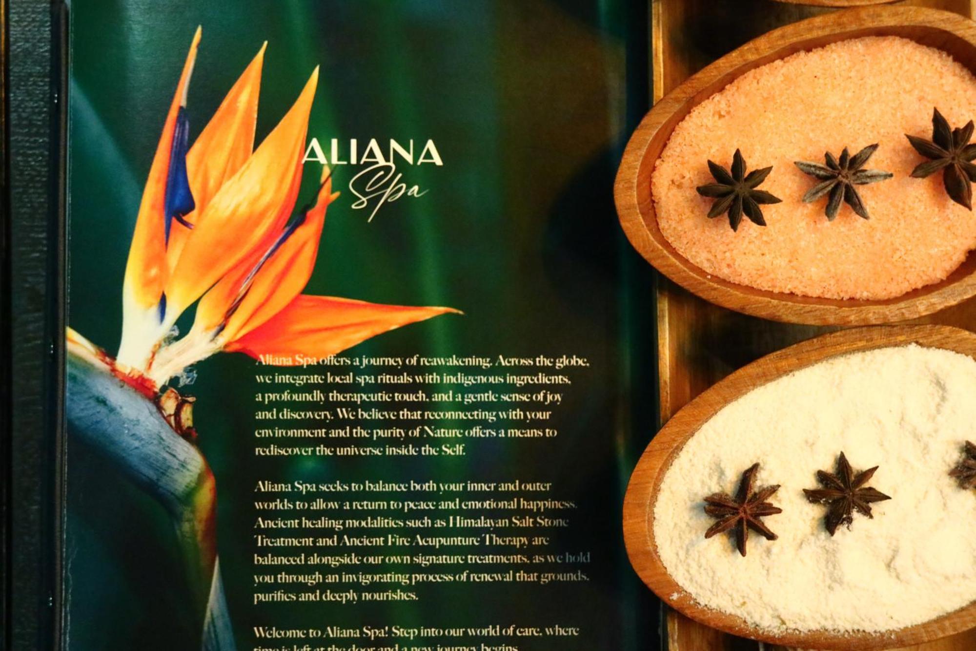 Aliana Boutique Sapa Hotel & Spa Dış mekan fotoğraf